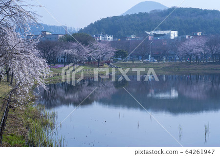 Gallery Reservoir, Ansan City, Gyeonggi-do 64261947