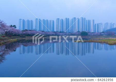 Gallery Reservoir, Ansan City, Gyeonggi-do 64261956
