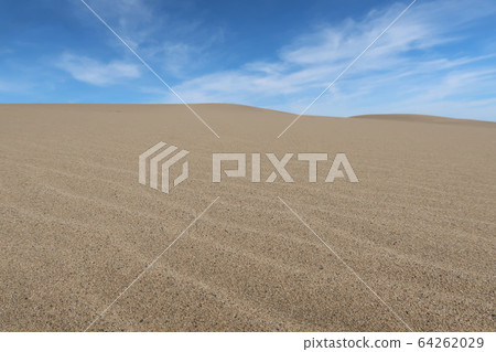鳥取沙丘沙紙 64262029