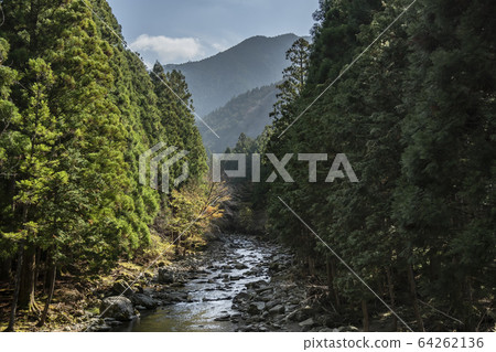 森林和山谷 森林和山谷 64262136