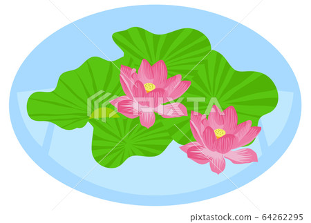 Lotus flower 64262295