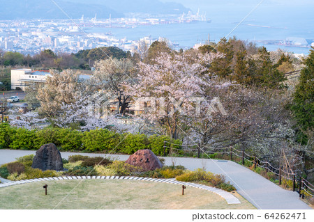 Spring Nihondaira Mt. Fuji Spring Nihondaira Mt. Fuji 64262471