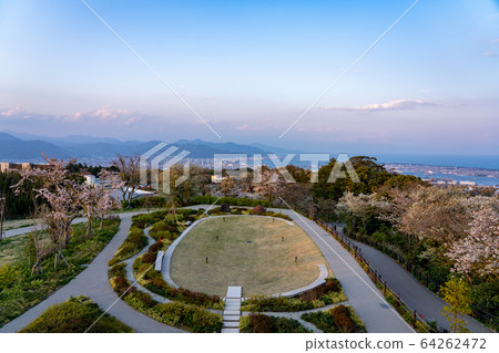 Spring Nihondaira Mt. Fuji Spring Nihondaira Mt. Fuji 64262472