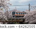 Cherry blossoms and trains 64262505