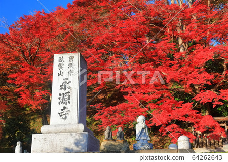 [Ibaraki Prefecture] Autumn leaves of Eigenji Temple in fine weather 64262643