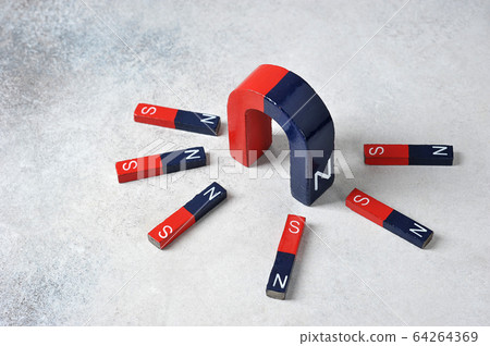 large horseshoe magnet and flat magnets large horseshoe magnet and flat magnets 64264369