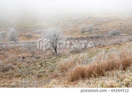 霧峰高原的霜 霧峰高原的霜 64264512