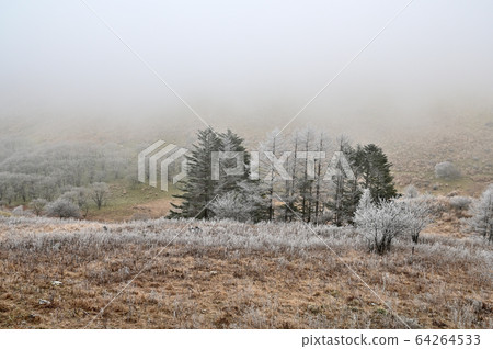 霧峰高原的霜 64264533