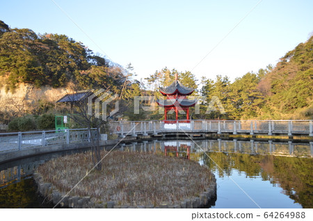 橫濱本北市民公園 橫濱本北市民公園 64264988