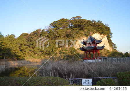 橫濱本北市民公園 橫濱本北市民公園 64265453