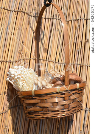 Improve umami by sunbathing mushrooms. Food, ingredients image material Improve umami by sunbathing mushrooms. Food, ingredients image material 64266173