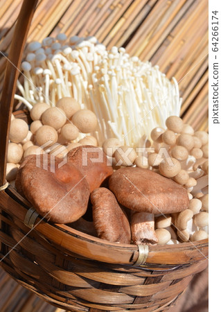Improve umami by sunbathing mushrooms. Food, ingredients image material Improve umami by sunbathing mushrooms. Food, ingredients image material 64266174