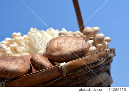 通過曬日光浴來改善鮮味。食品,成分圖像素材,藍藍的天空背景 通過曬日光浴來改善鮮味。食品,成分圖像素材,藍藍的天空背景 64266350