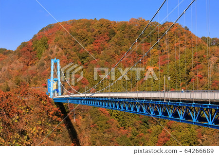 [Ibaraki Prefecture] Autumn leaves of the Ryujin Large Suspension Bridge under fine weather 64266689