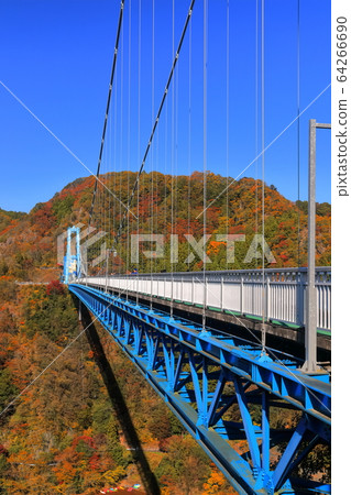 [Ibaraki Prefecture] Autumn leaves of the Ryujin Large Suspension Bridge under fine weather 64266690