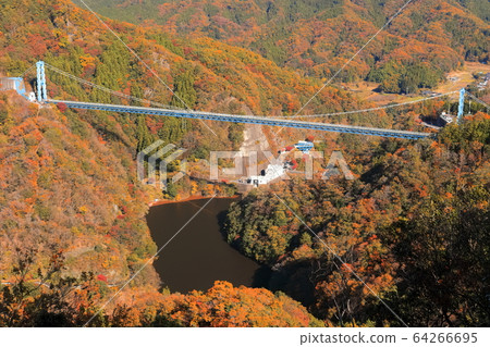 [Ibaraki Prefecture] Autumn Ryujin Suspension Bridge 64266695
