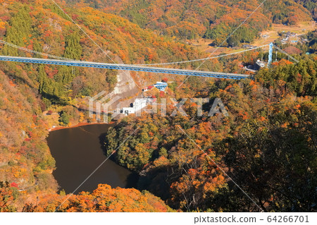 [Ibaraki Prefecture] Autumn Ryujin Suspension Bridge 64266701