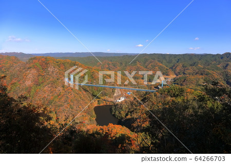 [Ibaraki Prefecture] Autumn Ryujin Suspension Bridge 64266703