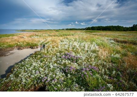 Djursland Djursland 64267577