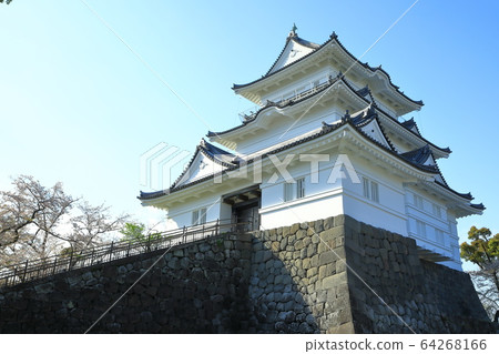 小田原城堡城堡塔小田原城堡廢墟 小田原城堡城堡塔小田原城堡廢墟 64268166
