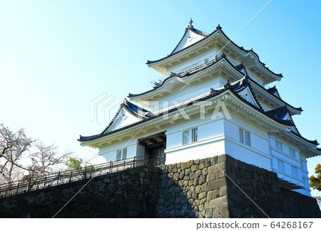 小田原城堡城堡塔小田原城堡廢墟 小田原城堡城堡塔小田原城堡廢墟 64268167