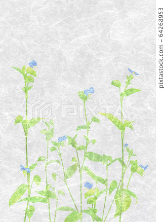 日本紙藝，大豆草 64268953