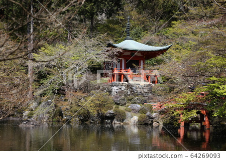 Daigoji Daigoji 64269093