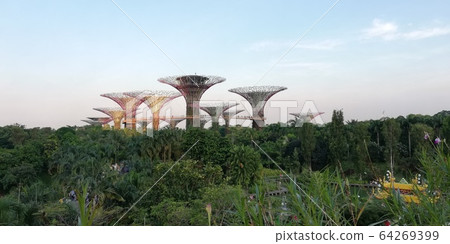 Gardens by the Bay Gardens by the Bay 64269399