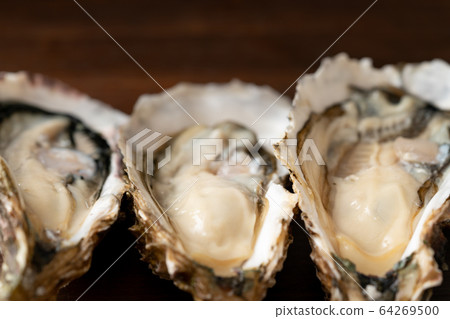 Raw oysters  64269500