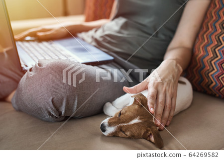 Woman sitting on the sofa with her puppy jack Woman sitting on the sofa with her puppy jack 64269582