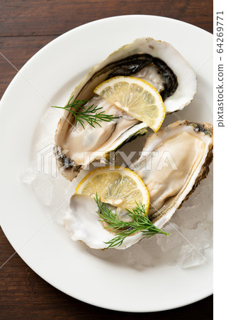 Raw oysters  64269771