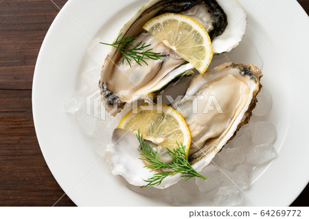 Raw oysters  64269772