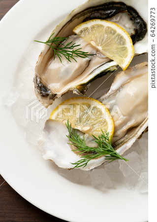 Raw oysters  64269773