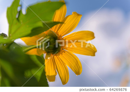 landmark of thailand 64269876