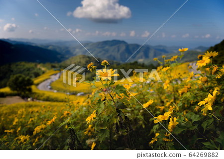 landmark of thailand 64269882