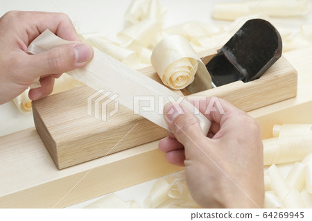 Canna thin cutting image Canna thin cutting image 64269945