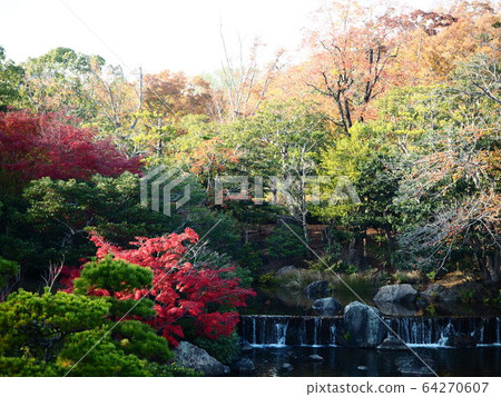 A garden A garden 64270607
