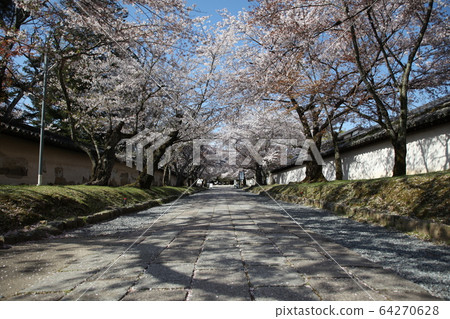 Daigoji Daigoji 64270628