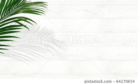Background-tropical-white 64270654