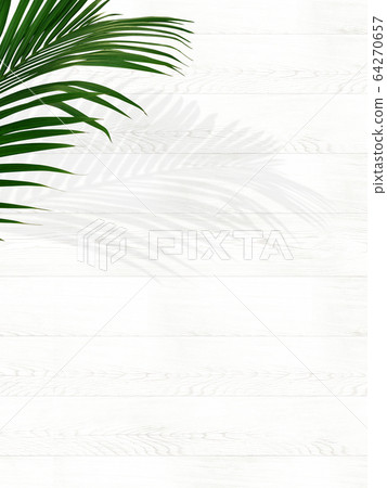Background-tropical-white 64270657
