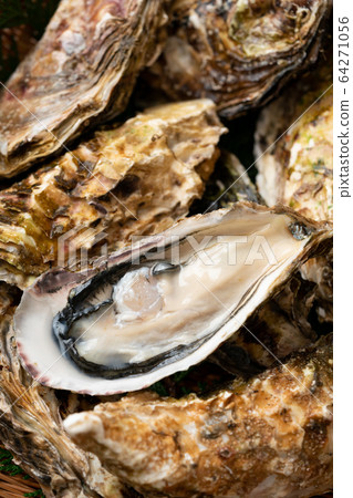 生蠔 64271056
