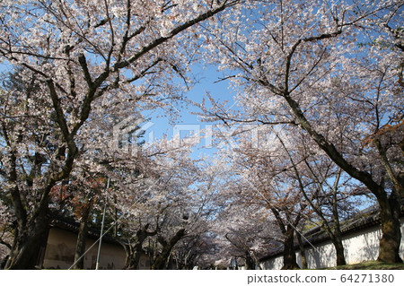 Daigoji Daigoji 64271380