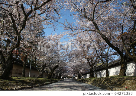 Daigoji 64271383