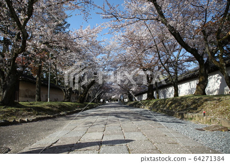 Daigoji 64271384