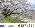Sakura 03 64271534