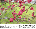 Mei 03 64271710
