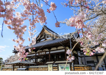 Abe Fumimuin Cherry tree Abe Fumimuin Cherry tree 64272387