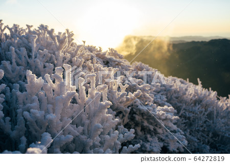 Fog ice and sun 64272819