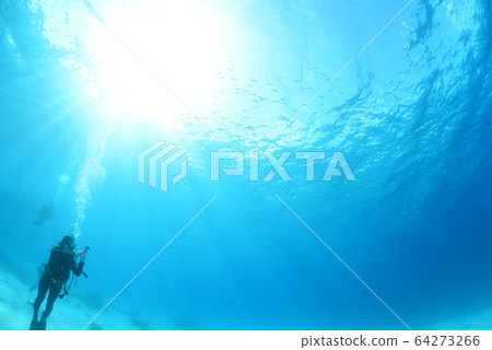 Sky I looked up from underwater 64273266