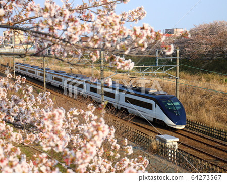 Keisei Electric Railway Narita Sky Access and Sakura in full bloom passing through the Hokuso Line near Shiroi City, Chiba Prefecture 64273567